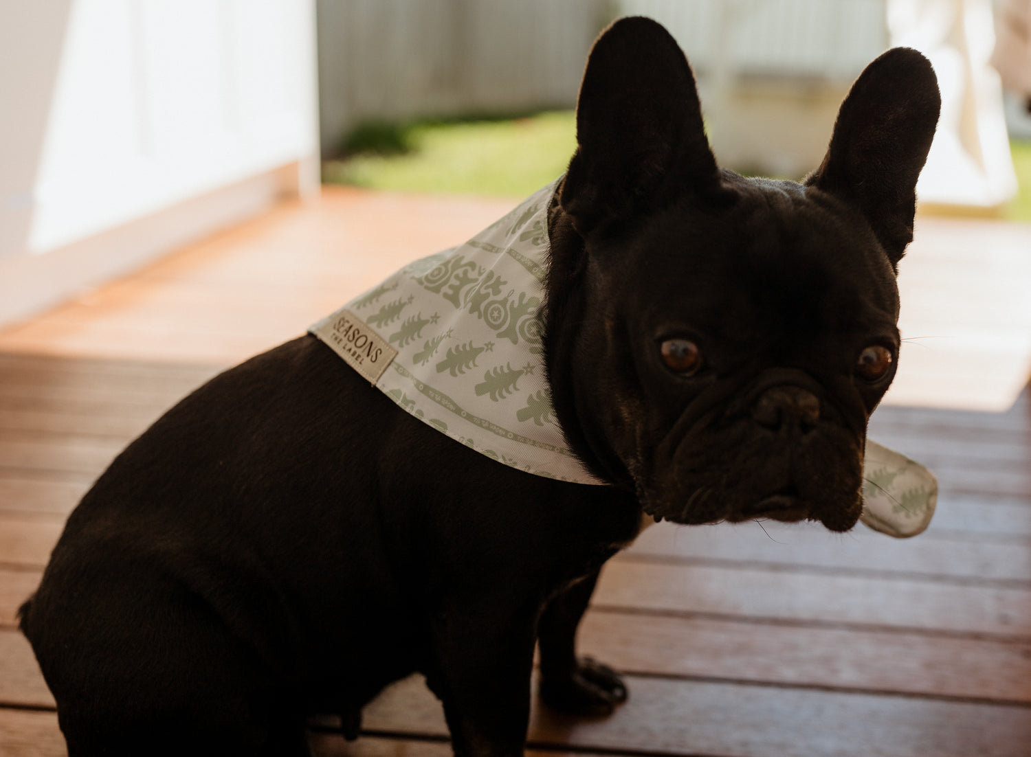 TIS THE SEASON Dog Bandanas